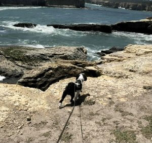Sigurd at ocean
